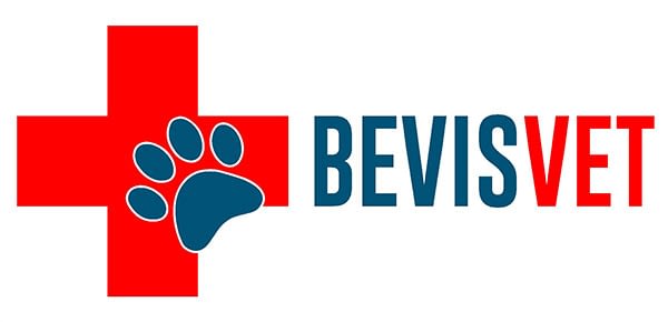 Bevis Veterinary LLCBevis Veterinary Hospital - Best Vet in Florida